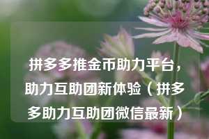 拼多多推金币助力平台，助力互助团新体验（拼多多助力互助团微信最新）  第1张