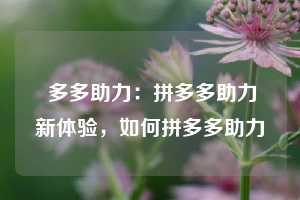  多多助力：拼多多助力新体验，如何拼多多助力 第1张