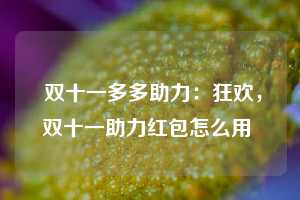  双十一多多助力：狂欢，双十一助力红包怎么用 第1张