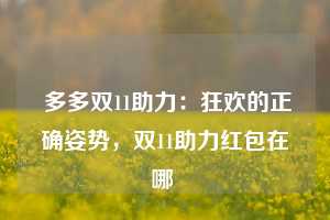  多多双11助力：狂欢的正确姿势，双11助力红包在哪 第1张